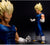 The Vegeta