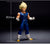 The Vegeta